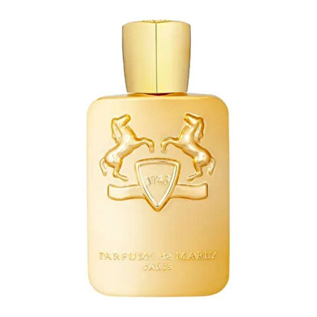 Parfums de Marly Godolphin EDP 125 ml Erkek Parfümü