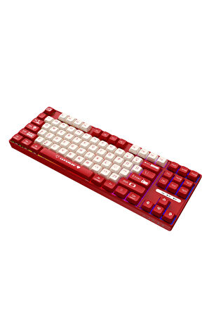AK870MC Kablolu- Hot Swap Mekanik Klavye- Rainbow Aydınlatmalı