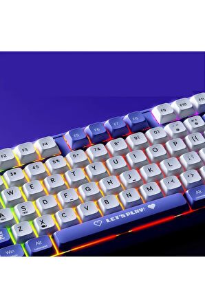 AK870MC Kablolu- Hot Swap Mekanik Klavye- Rainbow Aydınlatmalı