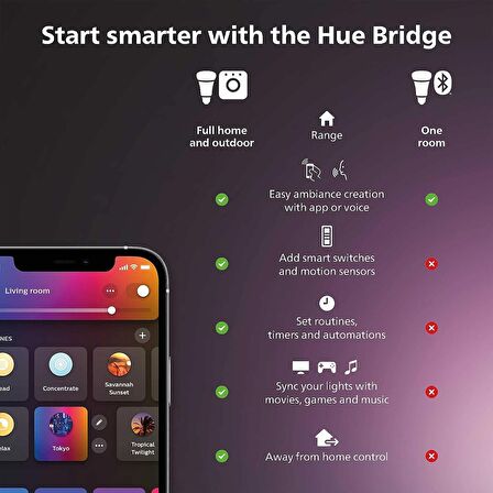 Philips Hue Econic Square Dış Mekan Duvar ve Tavan Işık Armatürü