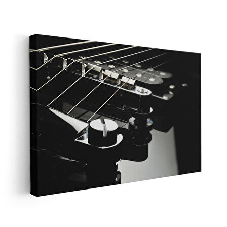 Elektro Gitar Telleri Detay Siyah Beyaz Kanvas Tablo