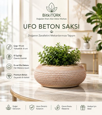 UFO Beton Saksı 19 cm El Yapımı Dekoratif Beton Saksı Modern İç Mekan Bonsai Sukulent Kaktüs Saksısı