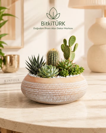 UFO Beton Saksı 19 cm El Yapımı Dekoratif Beton Saksı Modern İç Mekan Bonsai Sukulent Kaktüs Saksısı