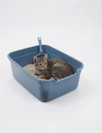 Kolay Girişli ve Ergonomik Açık Kedi Tuvaleti 49x38x18 Cm