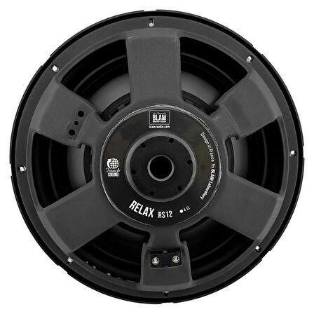 BLAM 30cm Subwoofer