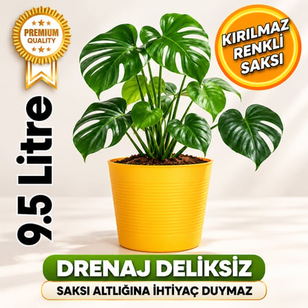 Sarı Deranjli 9.5 Litre Dekoratif Bitki Saksısı- Iç-Dış Mekan Bitkileri Için Uygun Saksı