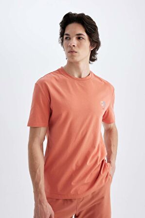 DeFacto Regular Fit Bisiklet Yaka Baskılı Kısa Kollu Tişört C5650AX24HSOG187