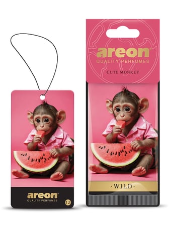Areon Wild Cute Monkey Oto Araç Kokusu