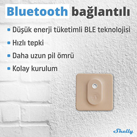 Shelly BLU H&T + BLU Gateway Sıcaklık & Nem Takip Seti