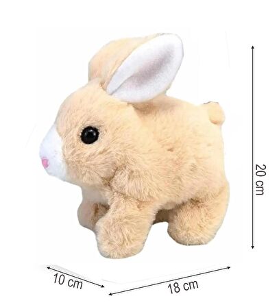 Yürüyen, Sesli Hareketli Sevimli Peluş Bunny Tavşan - Sweet Bunny