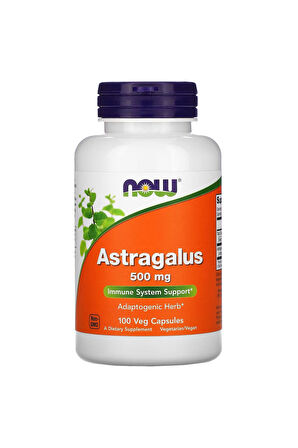 Astragalus 500 mg 100 veg capsules