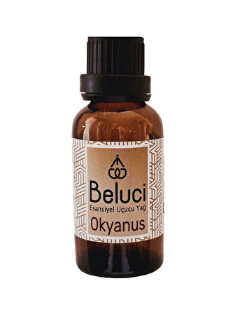 Okyanus (Oda Kokusu Aroma Terapi Buhurdanlık/Difüzör Yağı) 30 ml