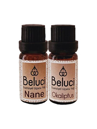 Nane + Okaliptus (Oda Kokusu Aroma Terapi Buhurdanlık/Difüzör Yağı) Set 2 Adet x 10 ml