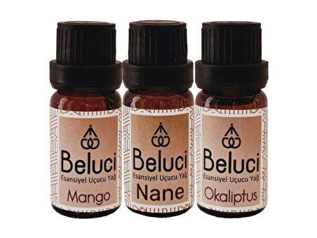 Mango + Nane + Okaliptus (Oda Kokusu Aroma Terapi Buhurdanlık/Difüzör Yağı) Set 3 Adet x 10 ml