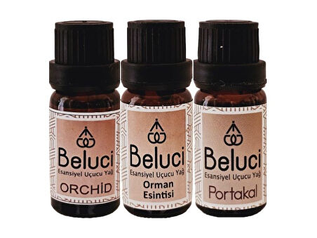 Orkide + Orman Esintisi + Portakal (Oda Kokusu Aroma Terapi Buhurdanlık/Difüzör Yağı) Set 3 Adet x 10 ml