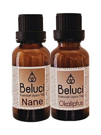 Nane + Okaliptus (Oda Kokusu Aroma Terapi Buhurdanlık/Difüzör Yağı) Set 2 Adet x 30 ml