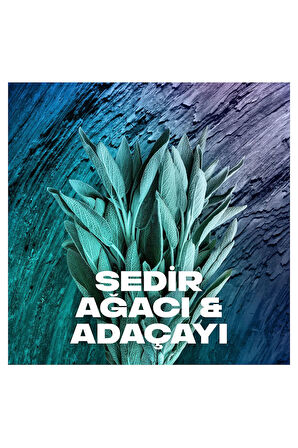 Axe Erkek Sprey Deodorant Apollo 48 Saat Etkileyici Koku Vücut Spreyi 150 ml