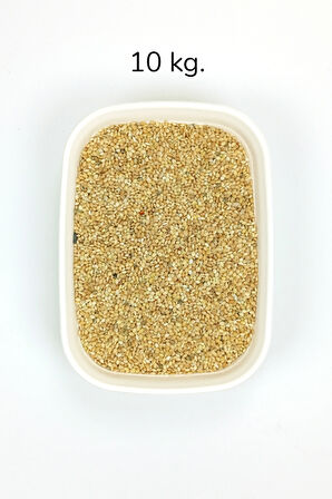 Muhabbet ve Tüm Egzotik Kuşlar İçin Doğal Taze Tane Sarı Darı - 10 kg