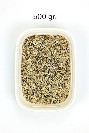 Kanarya Karışık Kuş Yemi Doğal Taze - 500 gr