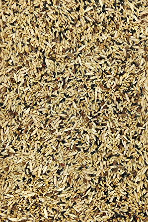 Kanarya Karışık Kuş Yemi Doğal Taze - 500 gr