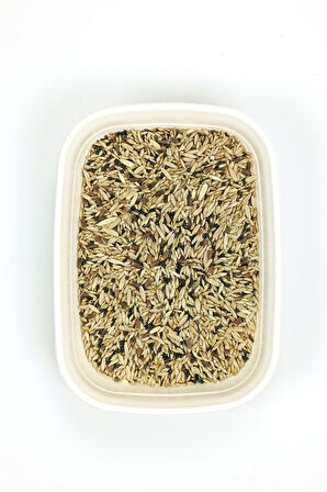 Kanarya Karışık Kuş Yemi Doğal Taze - 10 kg