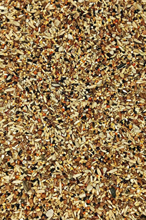 Tüm Kuşlar İçin Doğal Taze Sağlık Tohumu Karışımı - 500 gr