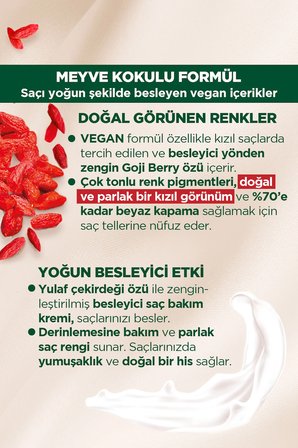 Kalıcı Doğal Renkler  6-88 Ateş Kızılı Goji Berry Özü Saç Boyası