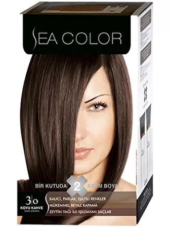 FinDit Sea Color Set Boya 3.0 Koyu Kahve