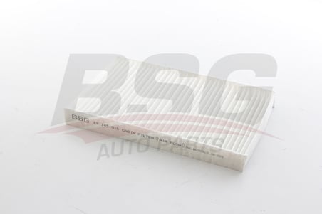 BSG POLEN FILTRESI