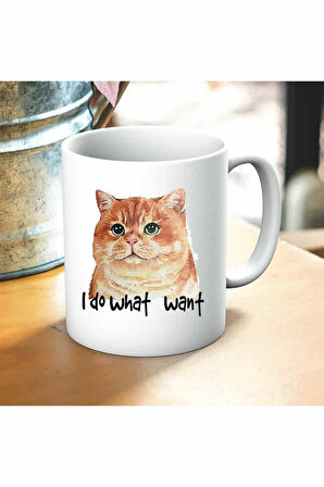 I Do What Want Cat Baskılı Kupa ve Yastık Hediyelik Set Arkadaşa Hediye