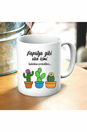 İçimi Kaktüse Çevirdiler Baskılı Kupa ve Yastık Hediyelik Set Arkadaşa Hediye