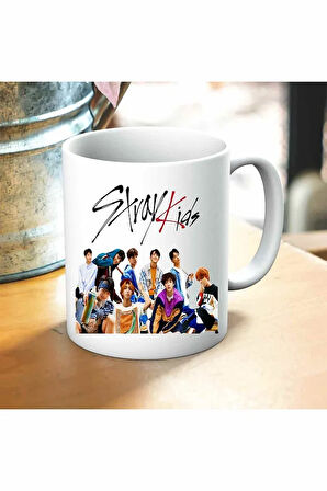 Stray Kids Baskılı Kupa ve Yastık Hediyelik Set Arkadaşa Hediye