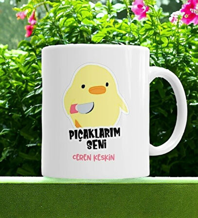 Hediyemi Katil Civciv Pıçaklarım Seni Kişiye Özel Kupa Bardak
