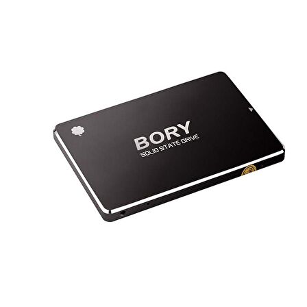 512 GB BORY SATA3 R500-C512G SSD 550/510 MBS (3 YIL GARANTİLİ) 