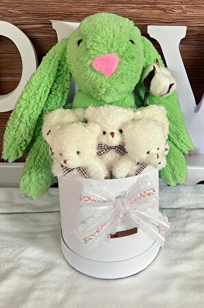 Özel Kutuda, Yeşil Jellycat Tavşan, 5 Beyaz Ayıcık – Pamuk Çiçeği Dokunuşlu, Özel Ayıcık Buketi