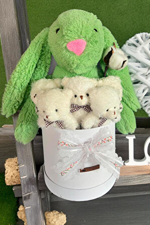 Özel Kutuda, Yeşil Jellycat Tavşan, 5 Beyaz Ayıcık – Pamuk Çiçeği Dokunuşlu, Özel Ayıcık Buketi