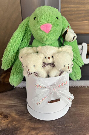 Özel Kutuda, Yeşil Jellycat Tavşan, 5 Beyaz Ayıcık – Pamuk Çiçeği Dokunuşlu, Özel Ayıcık Buketi