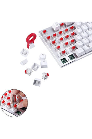 Mekanik Klavye Yedek Switch-3 Pinli (10 Adet)- 4 Farklı Seçenek