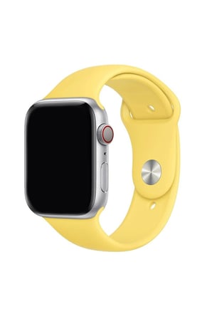 Apple Watch 12-11-10 42mm 6 7 8 9 10 Se Uyumlu 38-40-41mm Uyumlu Kordon Renkli Çiçek Desenli Siyah Silikon Kayış Bileklik