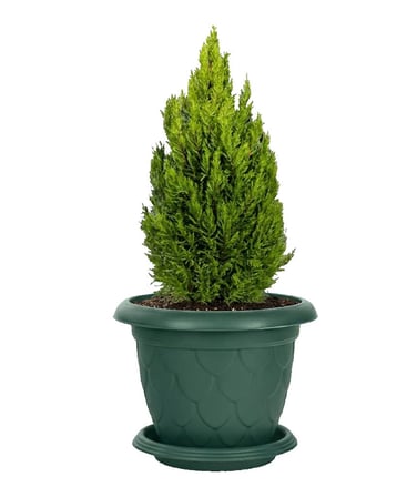Omnipazar SO-D010 Damla Desen Tabaklı Saksı Takımı 25 Litre No:10