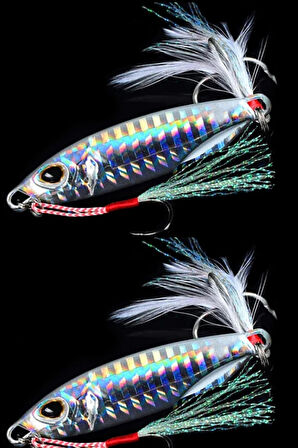 2 Adet Jig yem Rapala Lures Yapay Yem Suni Yem Lrf Yem Lüfer Ailesi Jig Yem 20 gr
