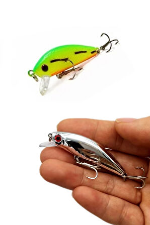 2 Li Set Ayna Rapala Lures Maket Balık Yapay Suni YemTurna Levrek Alabalık LüferAilesi JigYem