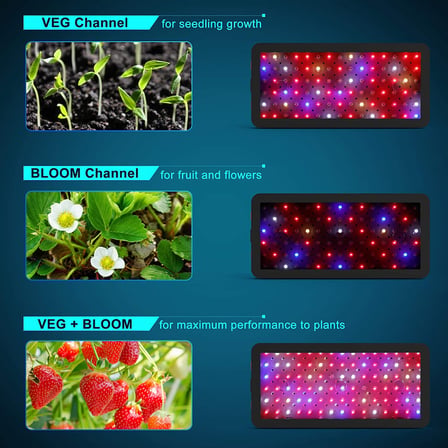 Phlizon D9 Dual Chip 176 W Full Spectrum LED Bitki Yetiştirme Lambası