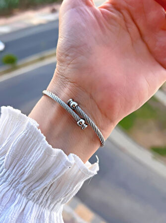 Coliseum Çelik Kordon Cartier Model Elips (Oval) Tasarım Kadın Kol Saati FG.HS.005