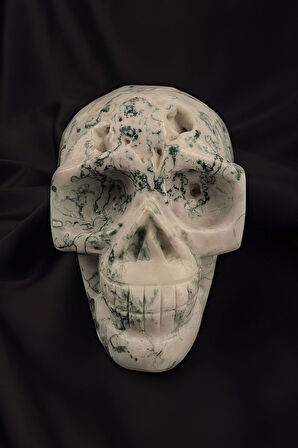 Kuru Kafa Figürlü Yosunlu Akik Taşı