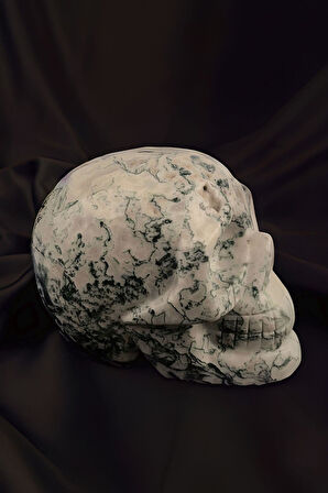 Kuru Kafa Figürlü Yosunlu Akik Taşı