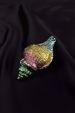 Deniz Kabuğu Figürü Bizmut Taşı