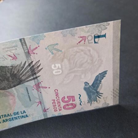 2018 Arjantin 50 pesos ÇİL eski yabancı kağıt para - 399636646697d99494