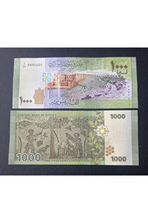 Escoines Koleksiyon 3996367e06455d7947 Suriye 1000Pound ÇİL yabancı eski kağıt para