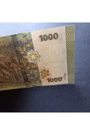 Escoines Koleksiyon 3996367e06455d7947 Suriye 1000Pound ÇİL yabancı eski kağıt para